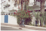 Agadir 2003
