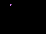 animated fireworks