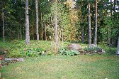 Woodland