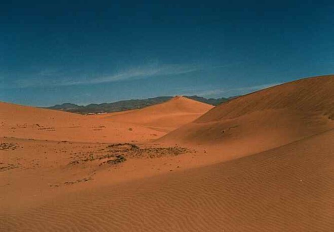 maspalomas