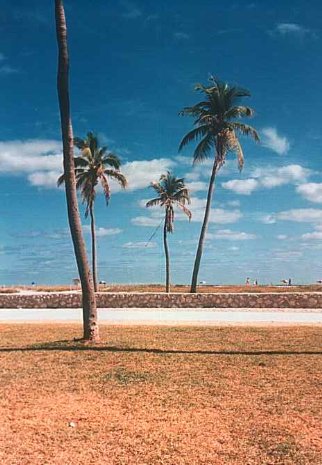 Miami